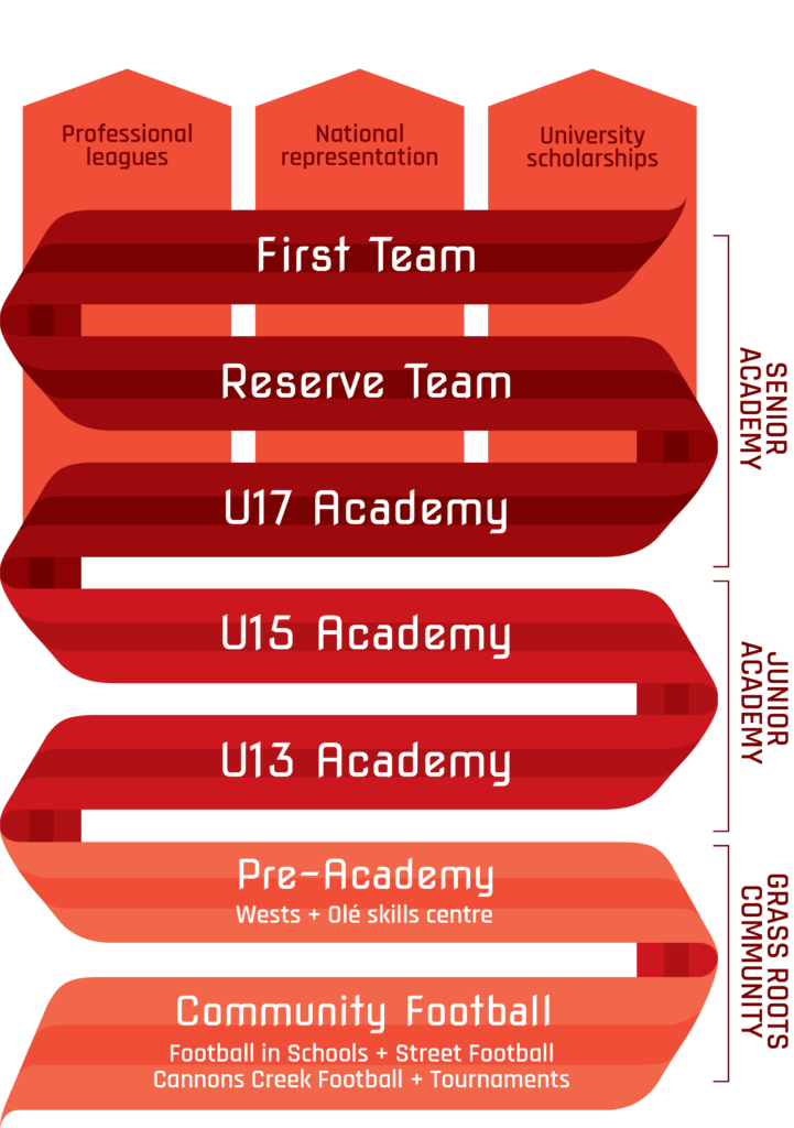 Ole structure diagram